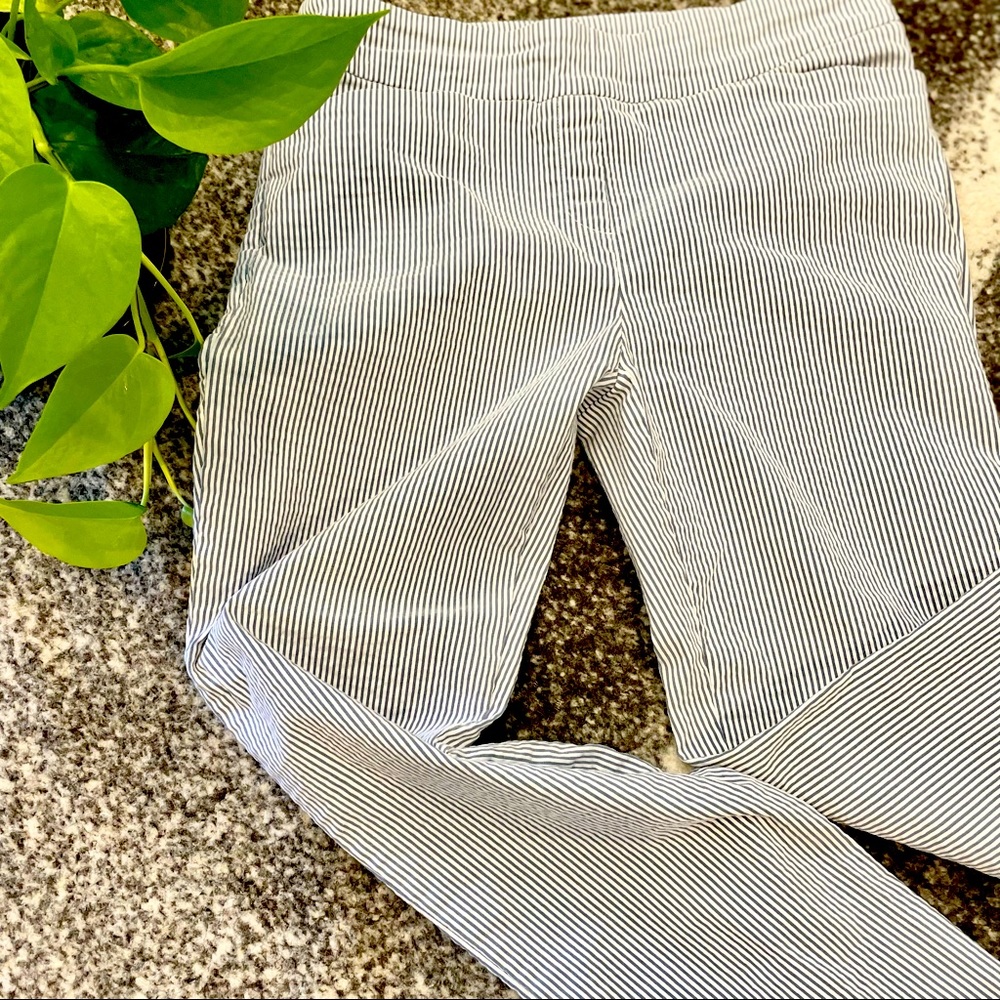 Hilary Radley Seersucker Pant. Striped Pull-on pants.